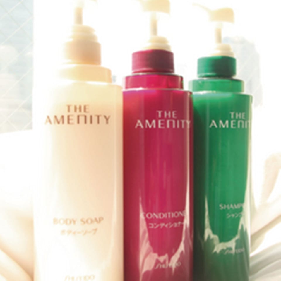 Combined shower/tub, free toiletries, hair dryer, bathrobes