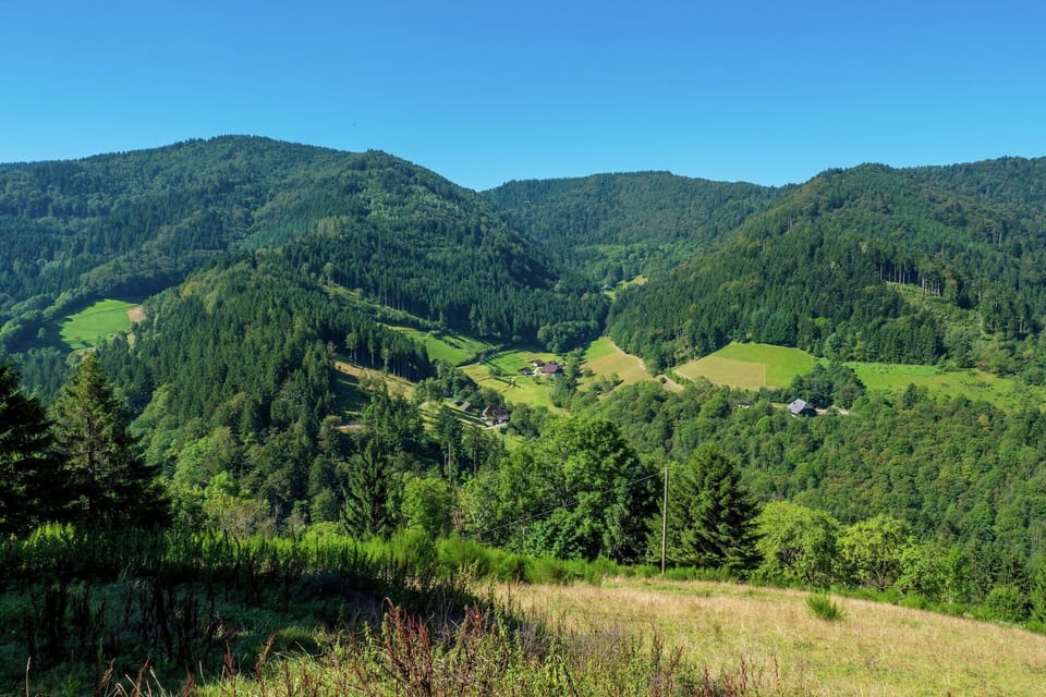 Immediate Surroundings [summer] (<1 km)