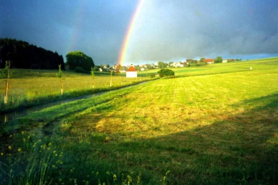 Region [summer] (>5 km)