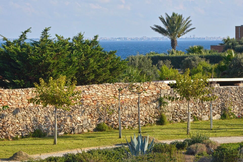 Shrub, Garden, Landscaping, Stone Wall, Botanical Garden, Walkway, Plantation