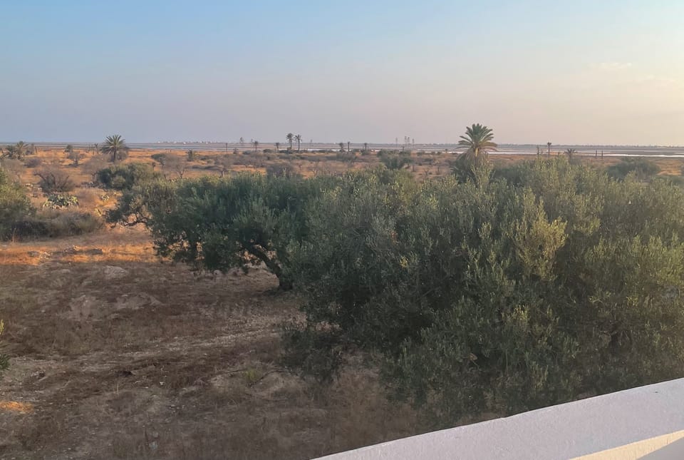 View from property