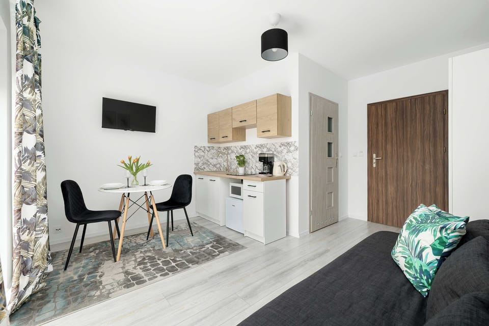 A wider view of the studio apartment, combining the seating area, dining space, and kitchenette. The layout is compact yet well-organized and functional.