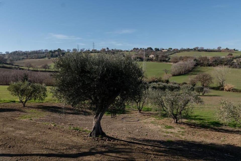 Double Room, Patio, Sea View | Miscellaneous