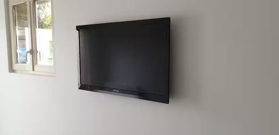 Television