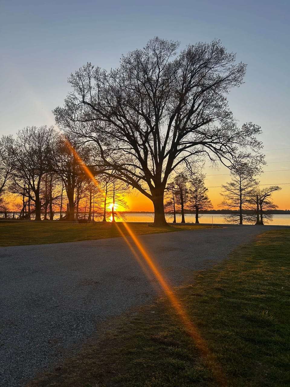 Reelfoot sunsets