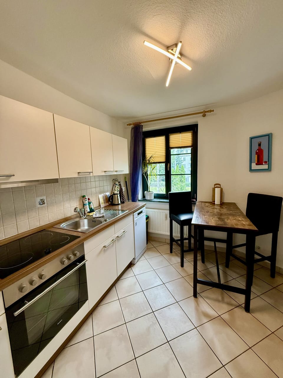 Comfort Condo, 1 Bedroom, Balcony, Garden Area (Wohnung 2) | Private kitchen | Full-size fridge, microwave, stovetop, dishwasher