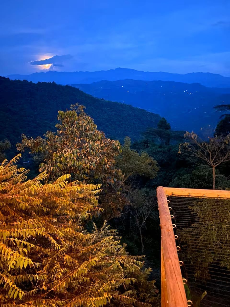 View from property