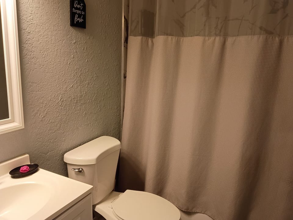  toilet, bathroom