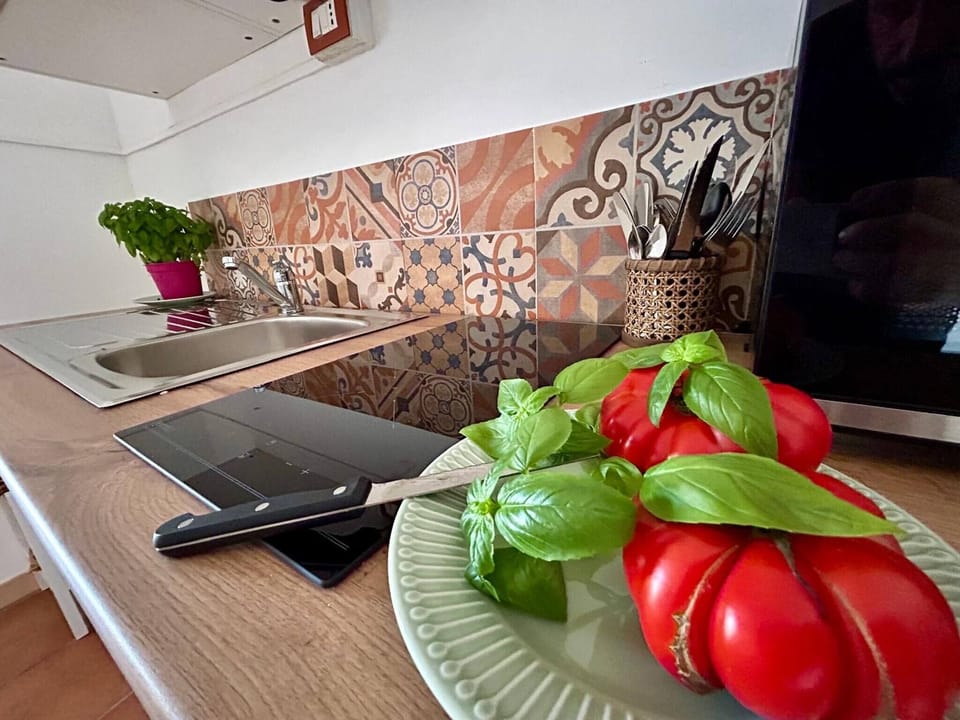 Apartment, 1 Bedroom, Balcony | Private kitchen