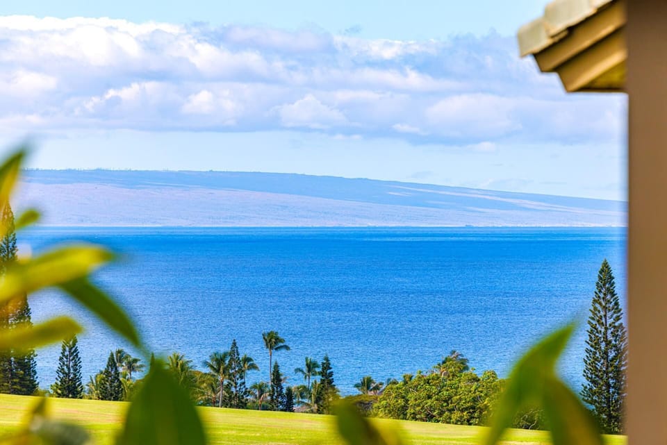Framed by palms and sky, your partial ocean view offers a daily dose of island calm. KRV-2121