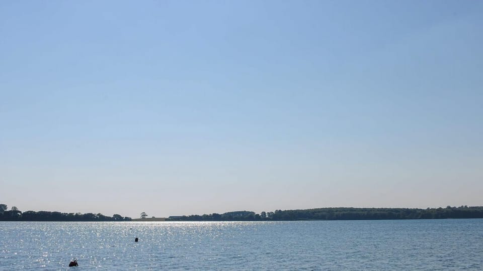 Area