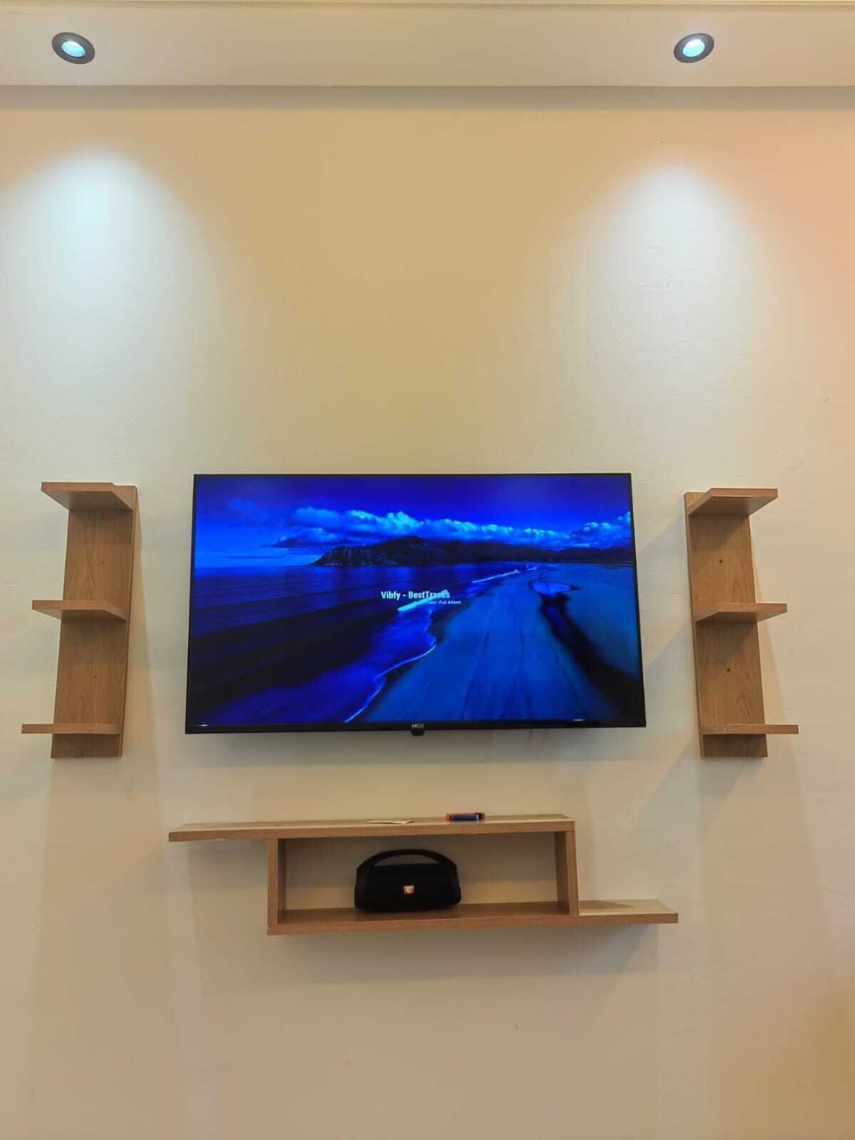 Television