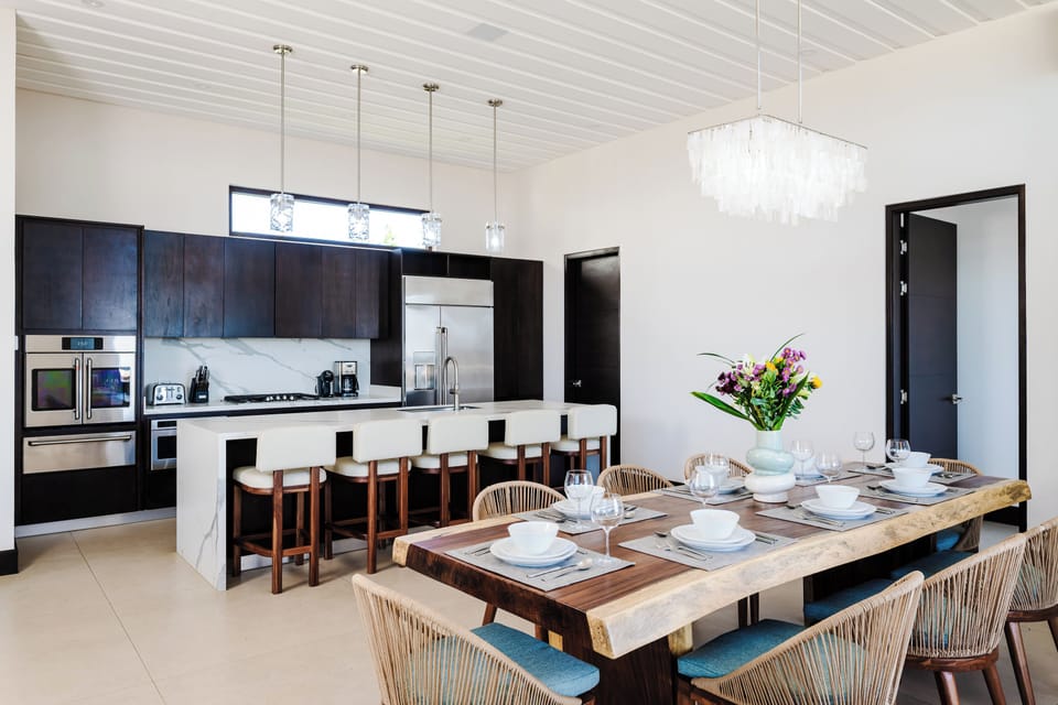 Cooking and dining - Open kitchen layout connecting seamlessly to social spaces