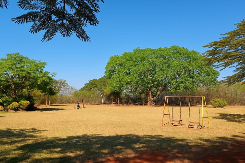 Children's area