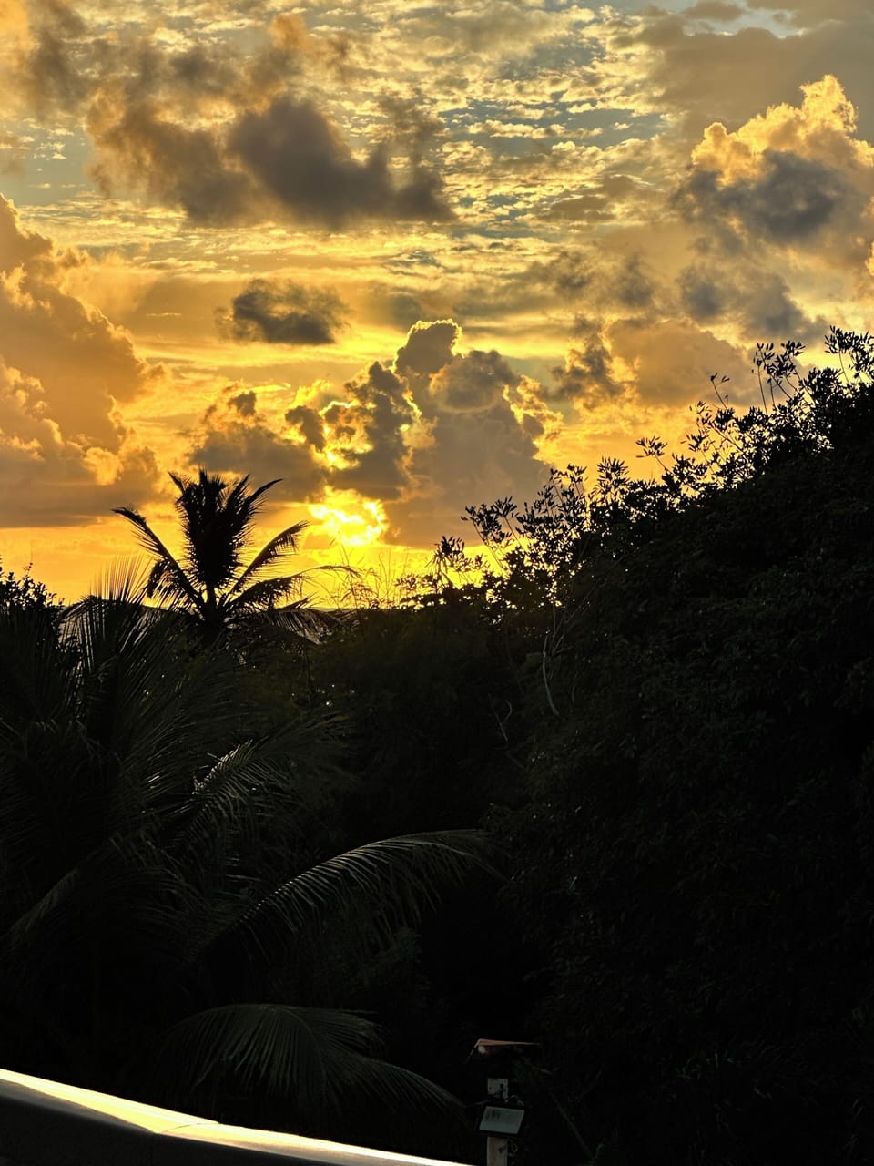 View from property