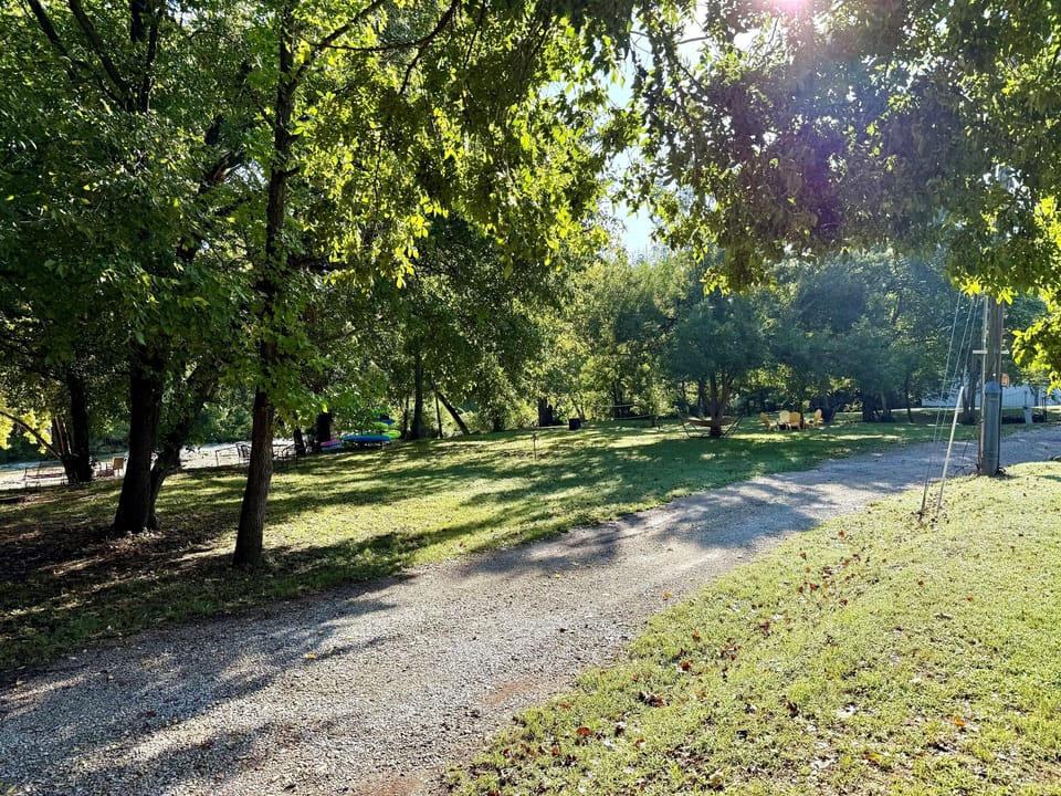 Large yard area