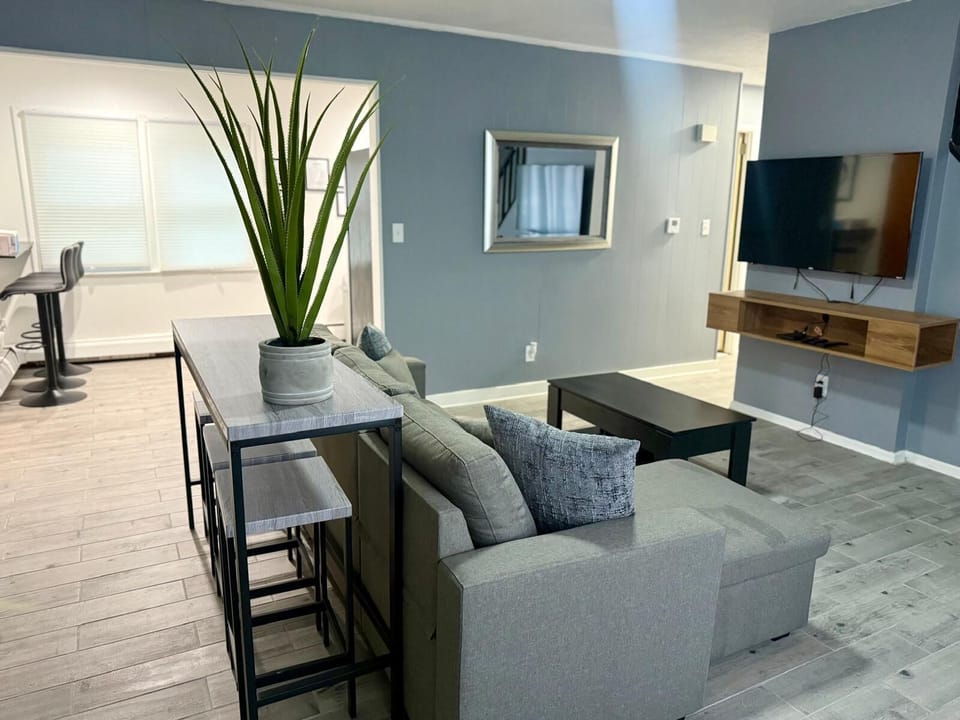 Livingroom and kitchen