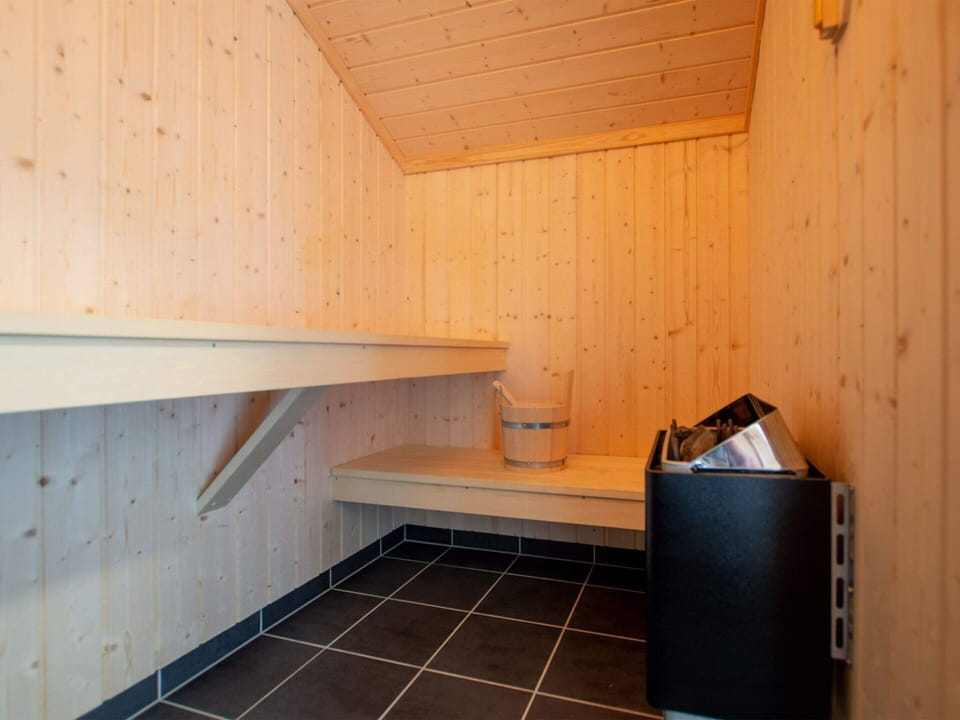 House | Sauna