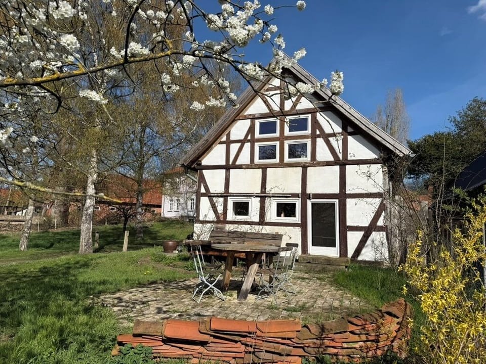 View from the terrace 