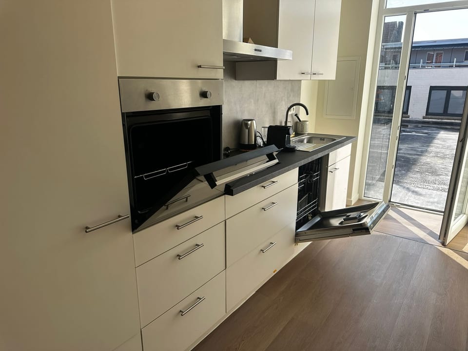 Basic Apartment | Private kitchen | Fridge, microwave, oven, stovetop