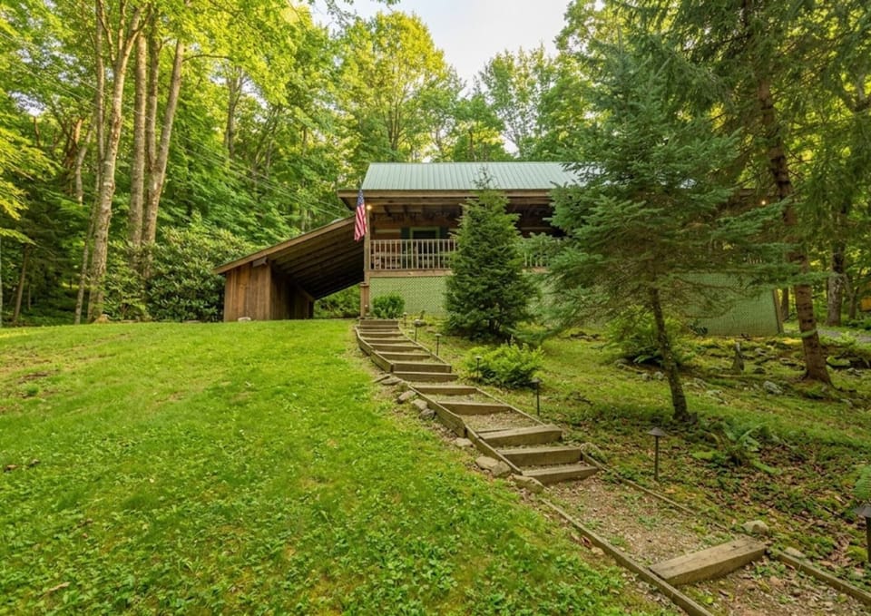 Crisp mountain air and vibrant forest views.