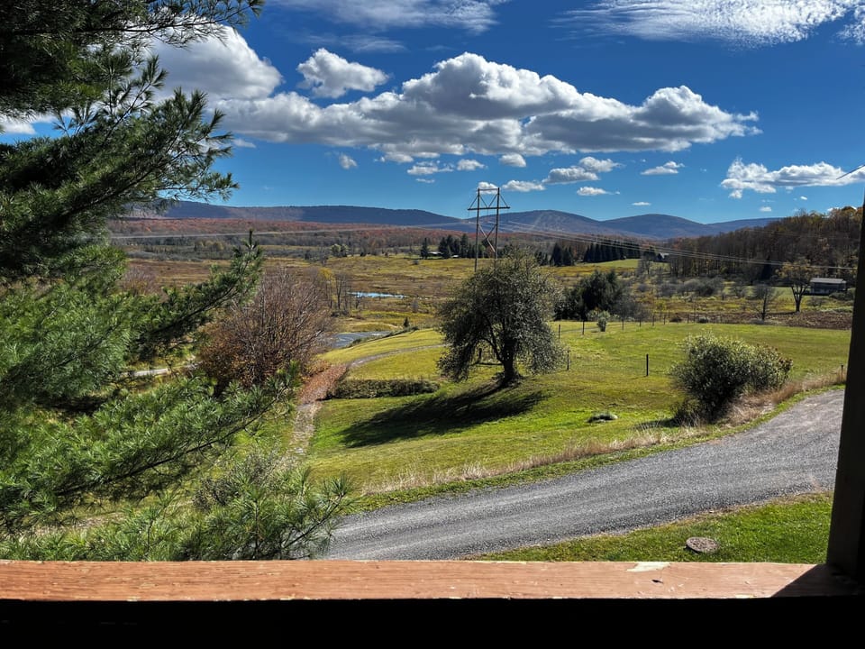 View from property