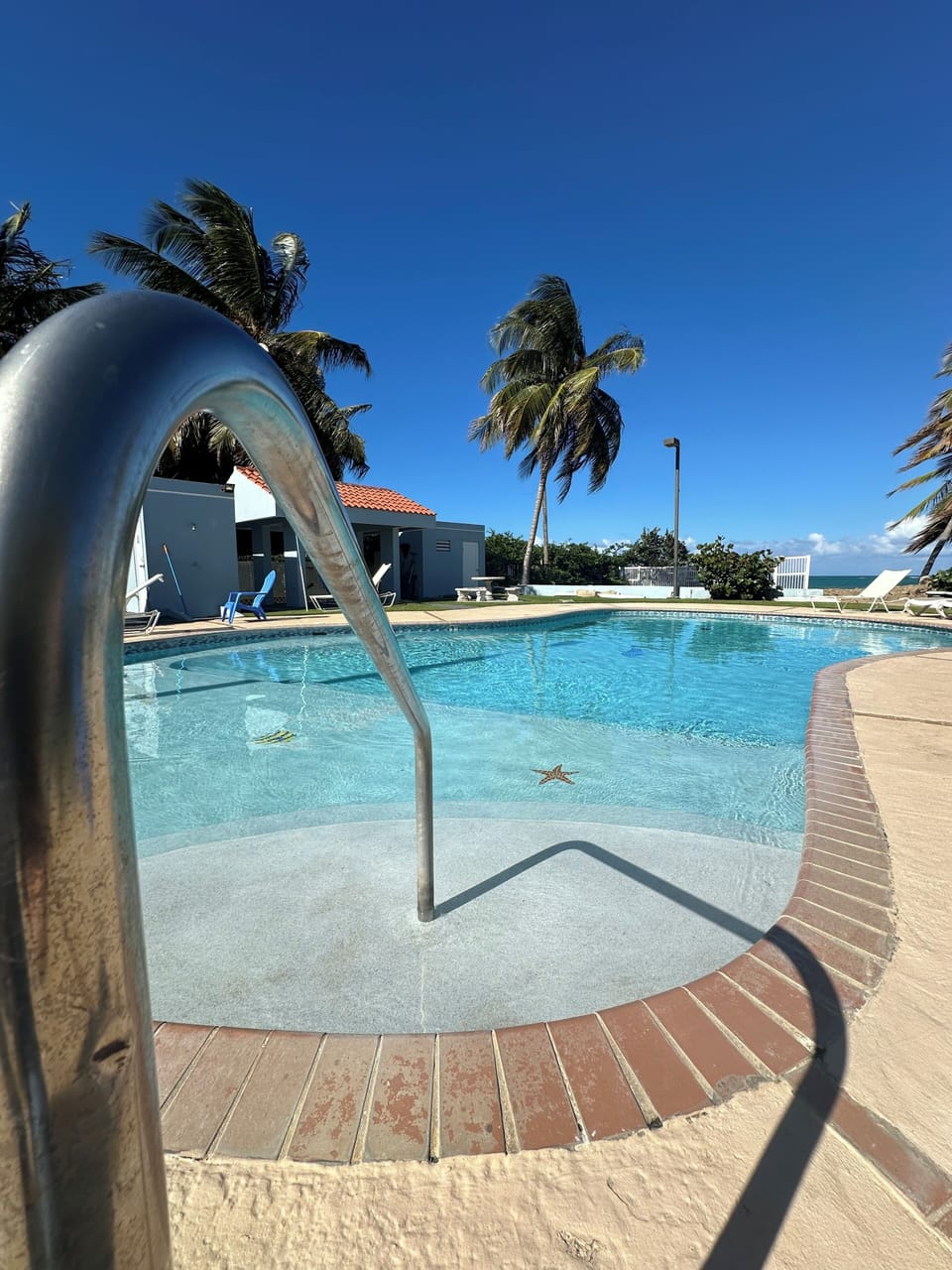Beautiful oceanfront pool area with palm trees and sun-drenched lounge seating.