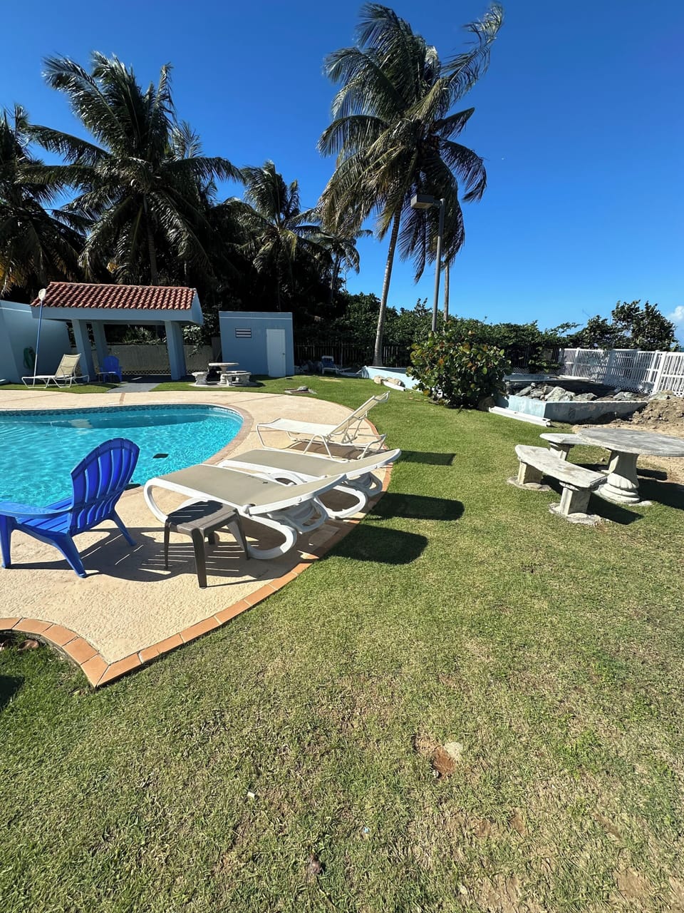 Quiet tropical pool area with palm trees and a relaxing beachy atmosphere.