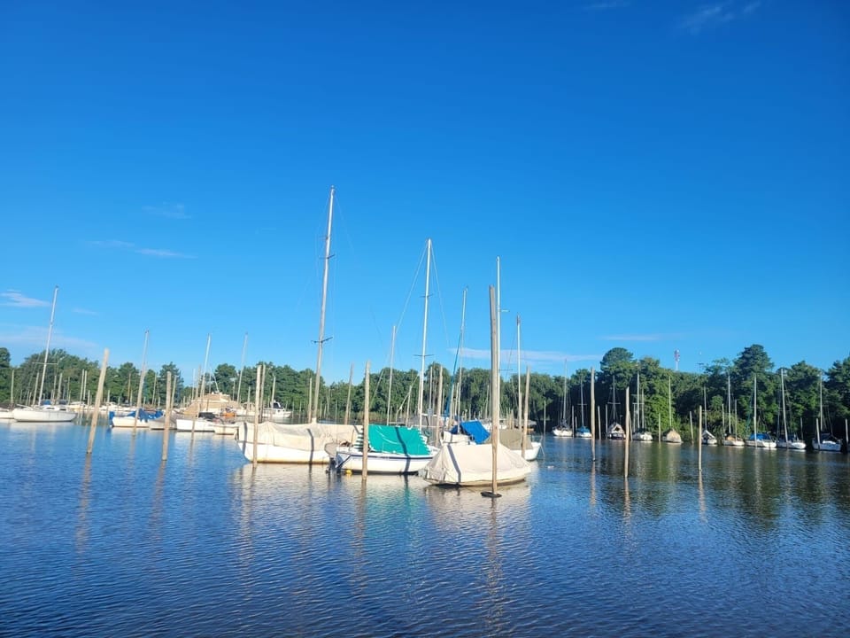 Marina