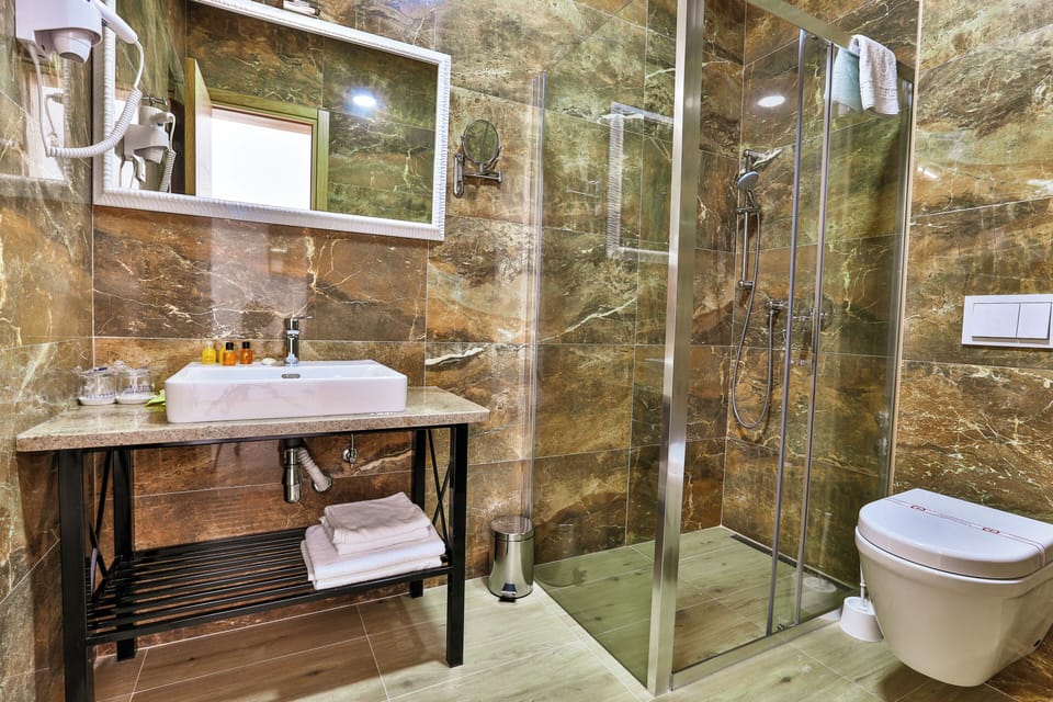 Deluxe Twin Room | Bathroom | Shower, free toiletries, hair dryer, towels