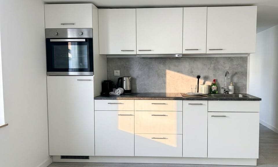 Basic Apartment | Private kitchen | Fridge, microwave, oven, stovetop