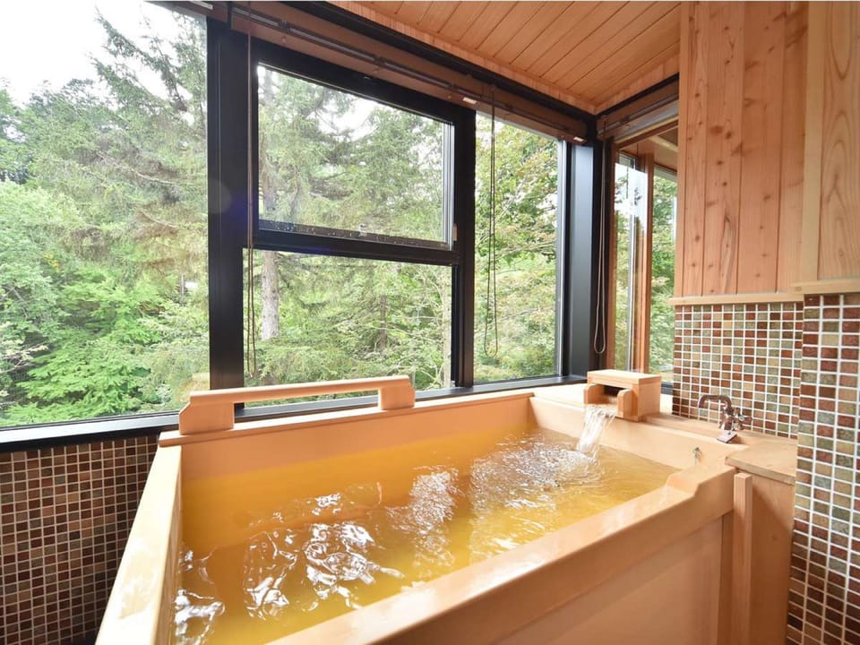 Combined shower/tub, spring water tub, free toiletries, hair dryer