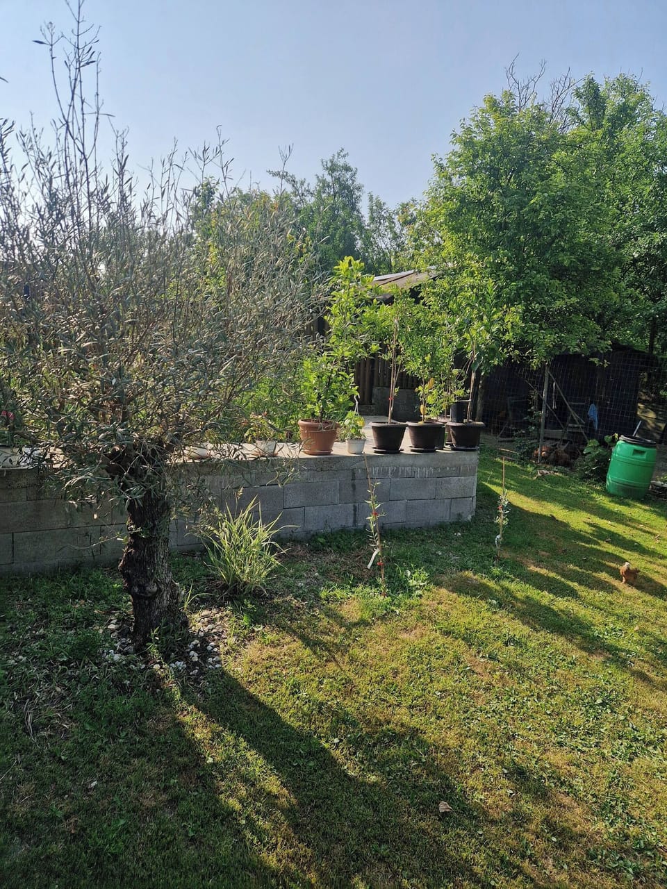 House, 1 Bedroom, Accessible, Smoking | Garden