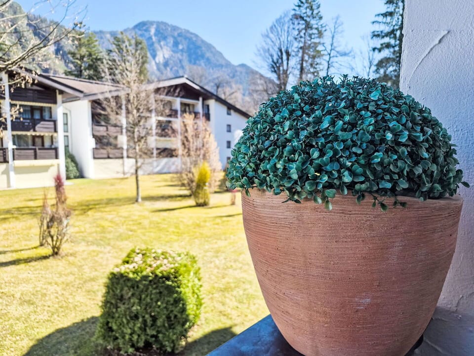 Groundcover, Garden