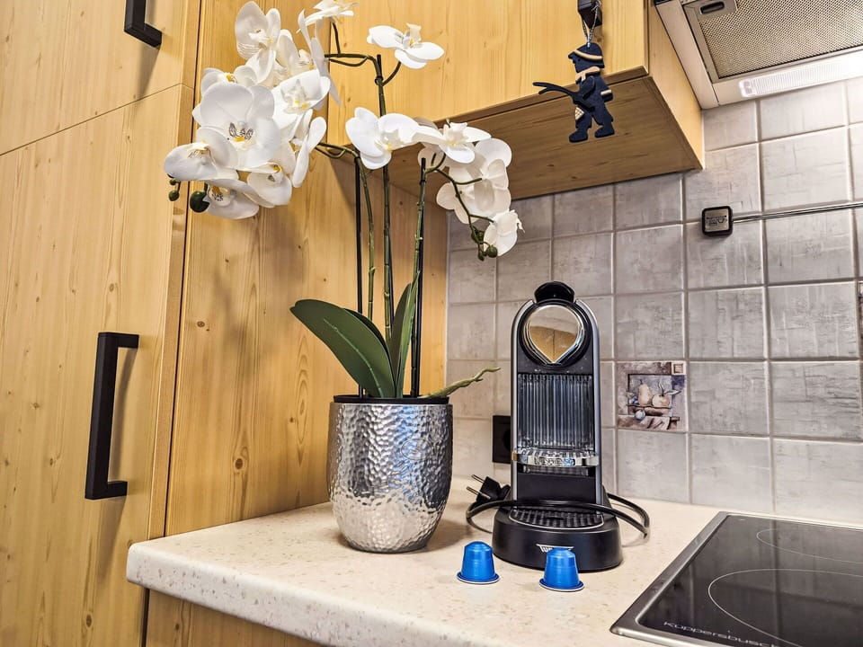 Interior Design, Lighting, Kitchen, Flowerpot, Countertop, Houseplant, Kitchen Appliance, Home Appliance, Small Appliance