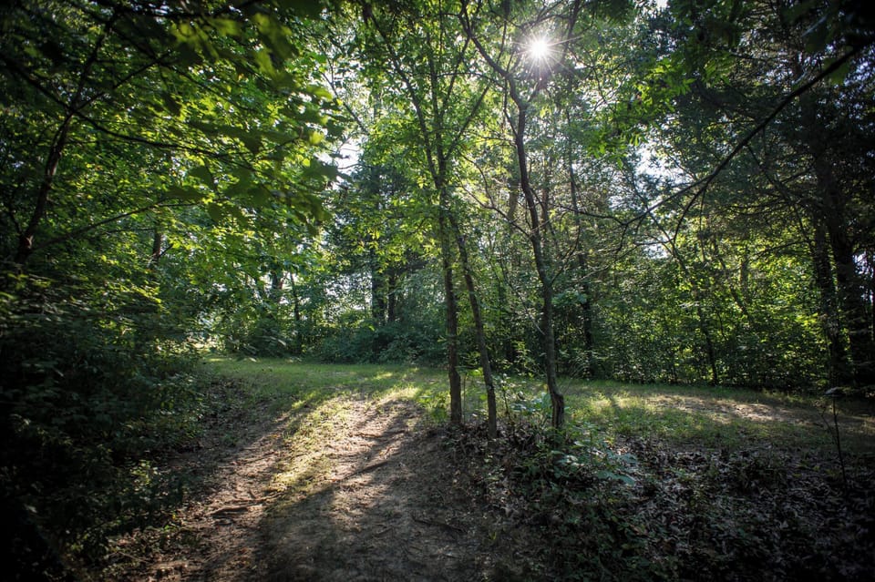 The grounds
