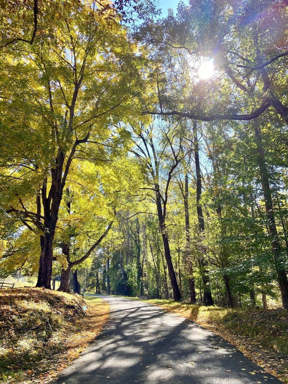 Hiking