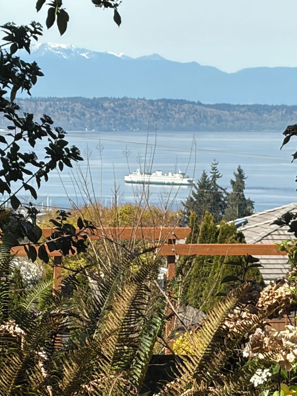 View from property
