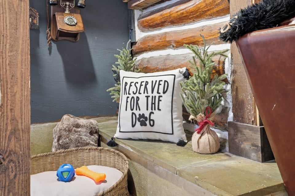 A cozy corner just for your furry friends