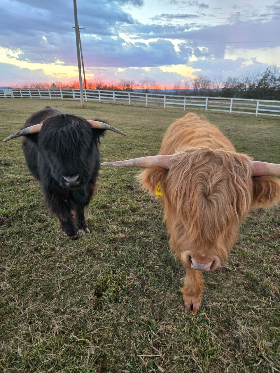 J and W sunset