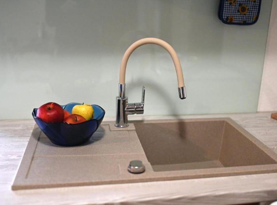 Studio (Studio Apartment with Terrace) | Private kitchen | Fridge