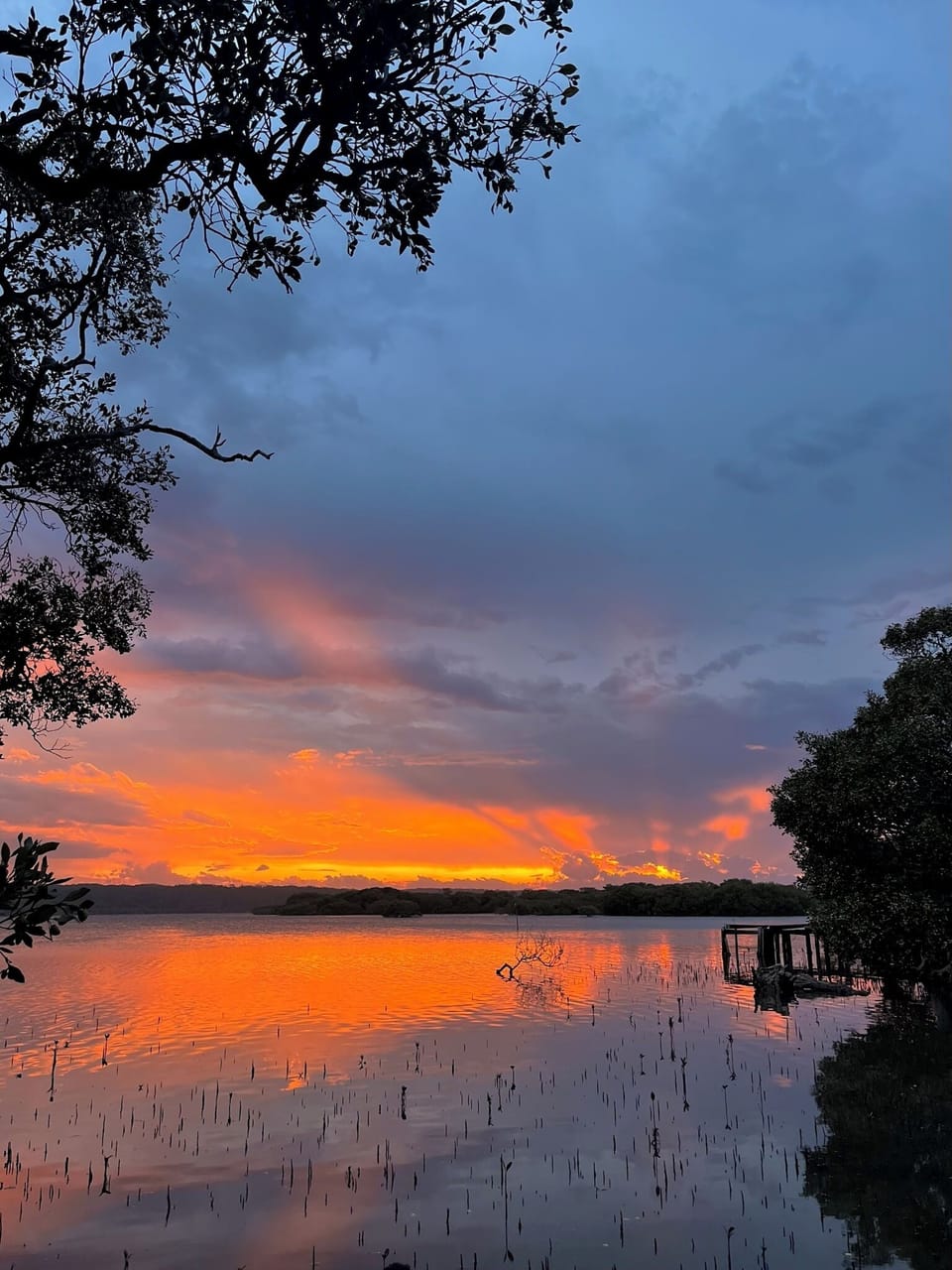 Sunset over Curleys Bay, at the end of the property