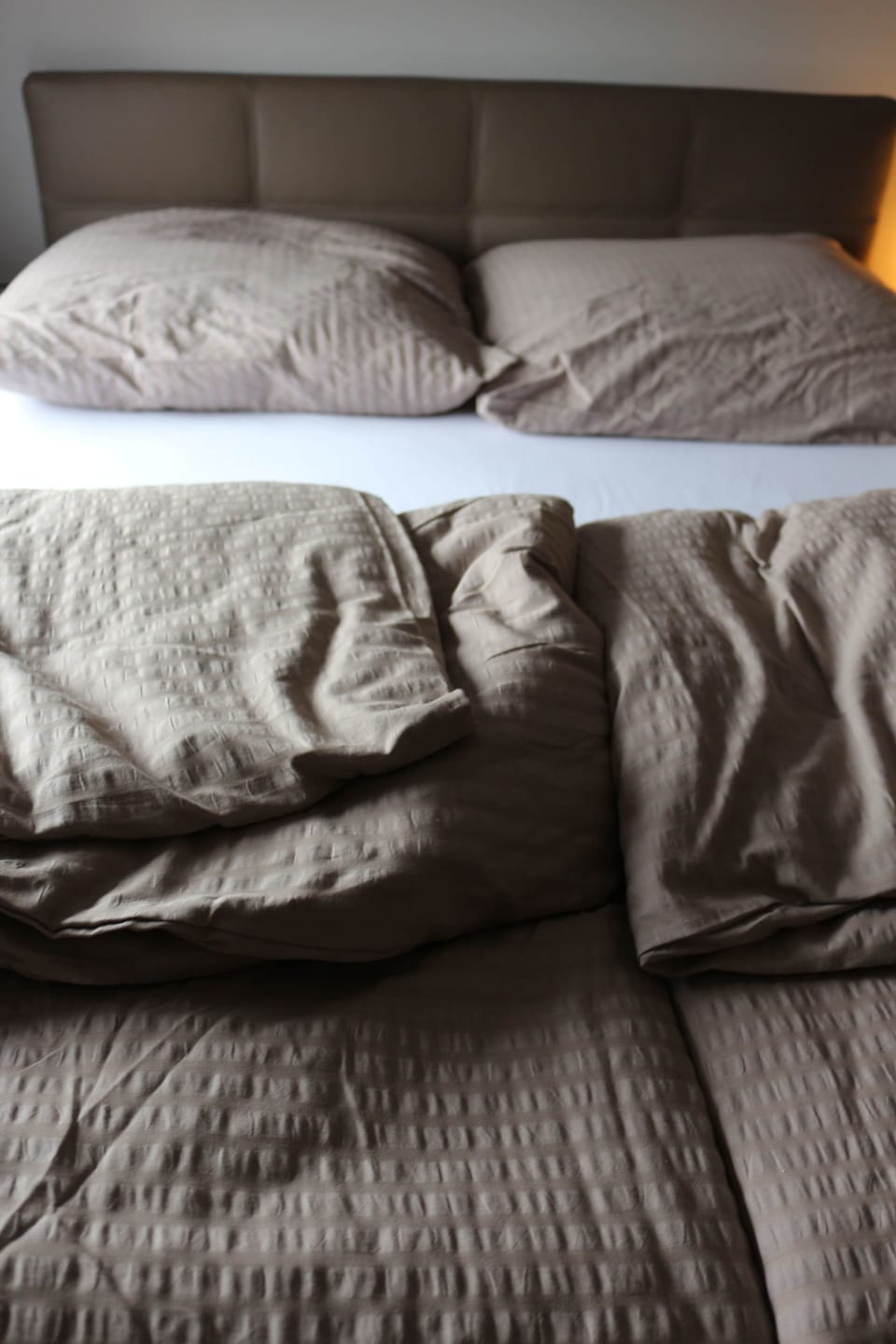 Box Spring Bett