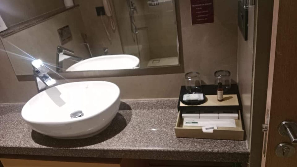 Separate tub and shower, rainfall showerhead, bathrobes, bidet
