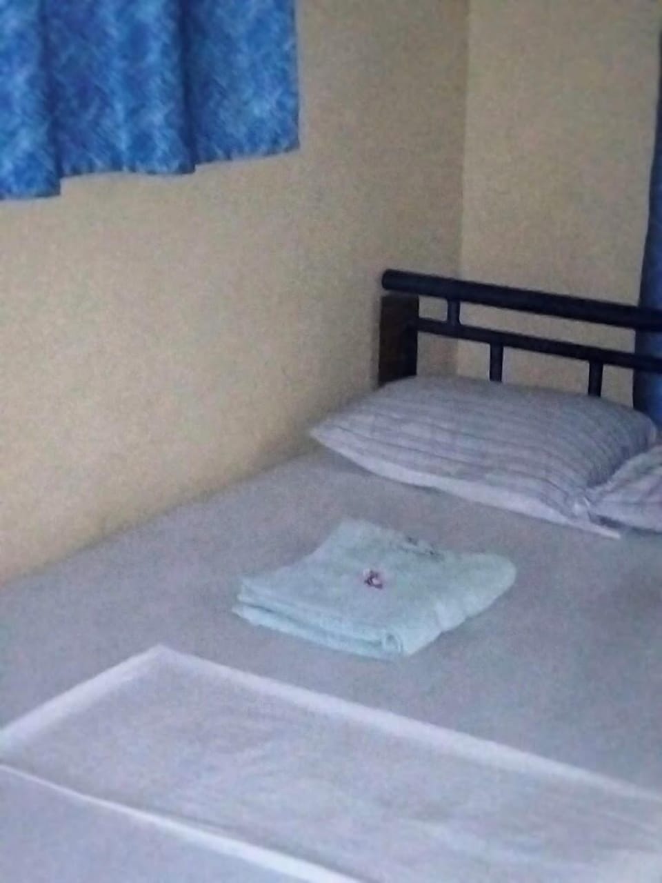 Deluxe Single Room | Individually decorated, individually furnished, free WiFi, bed sheets