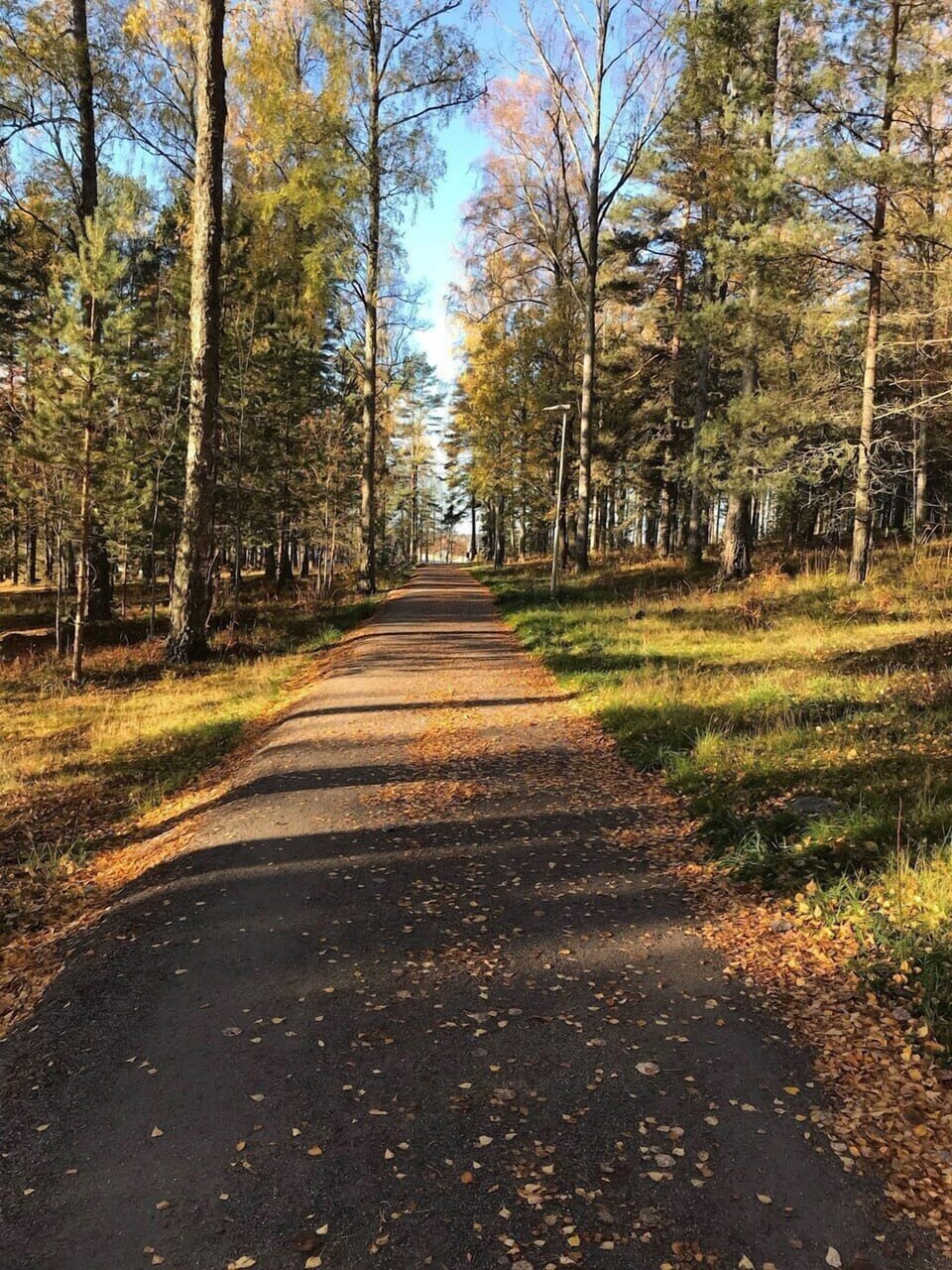 Hiking