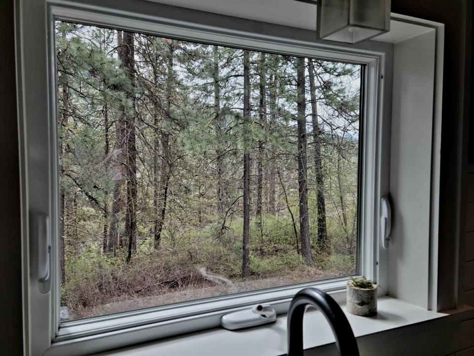 Window view