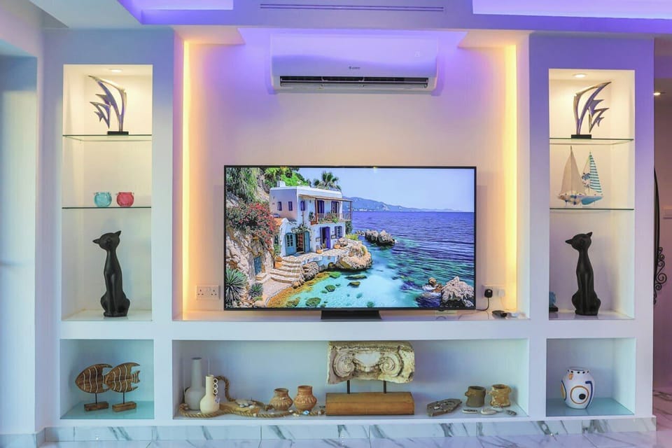 Television