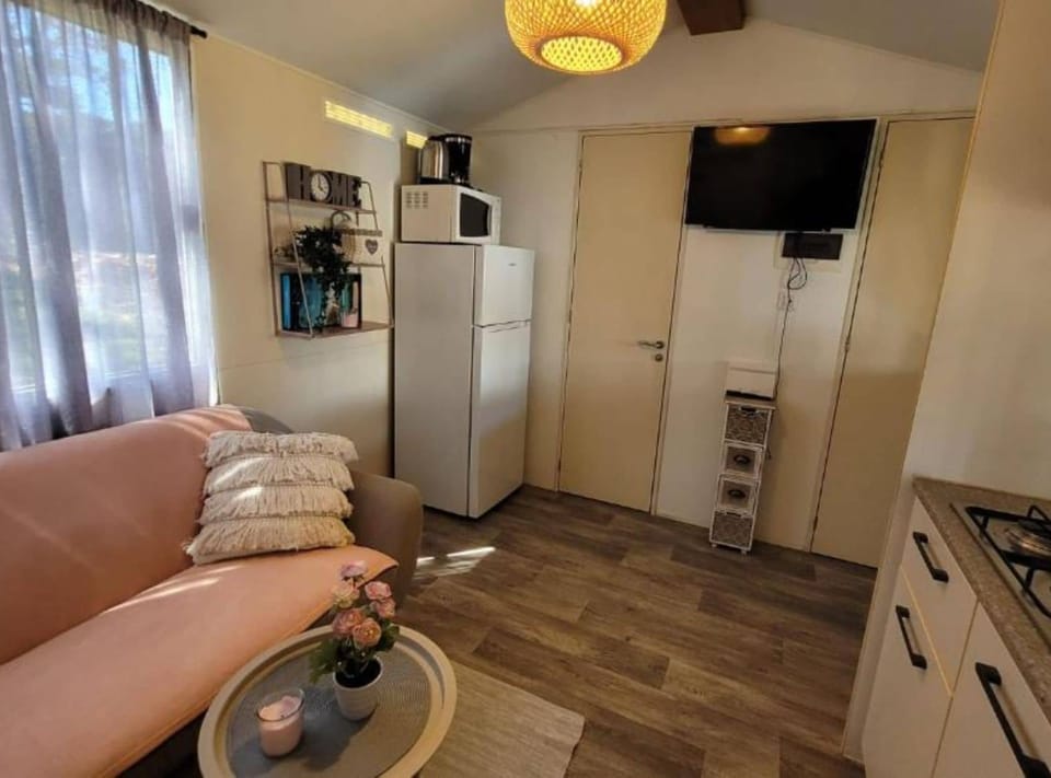 Mobile Home (Two Bedroom Mobile Home) | Living room | 32-inch flat-screen TV with cable channels