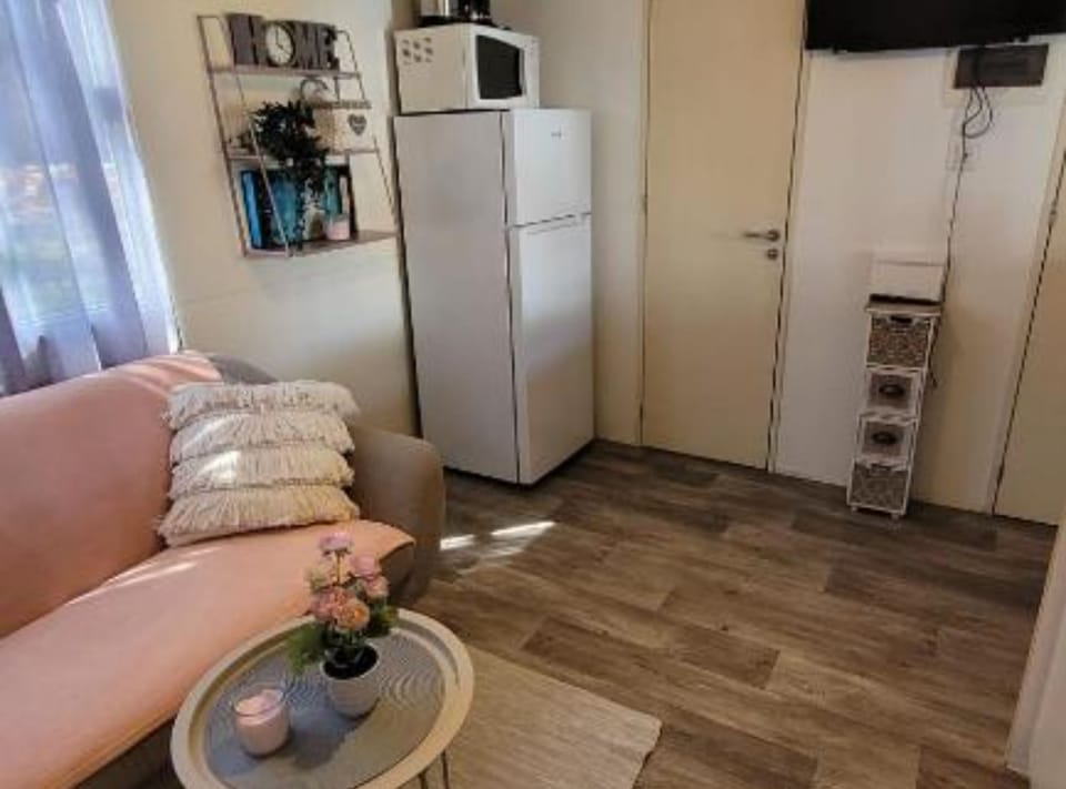 Mobile Home (Two Bedroom Mobile Home) | Living room | 32-inch flat-screen TV with cable channels
